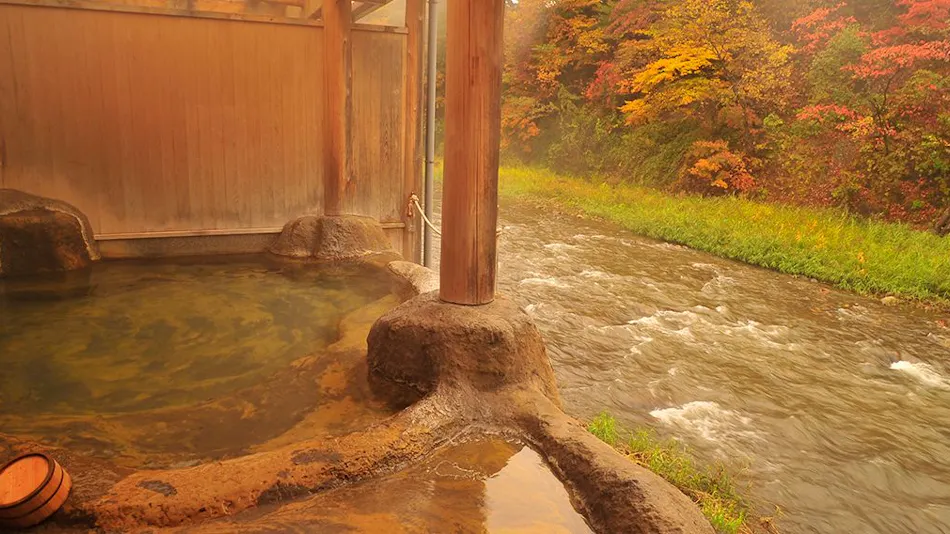 Fujisan Ryokan - Annex Nambu Onsen Kokoro no Toki Jusan Gatsu