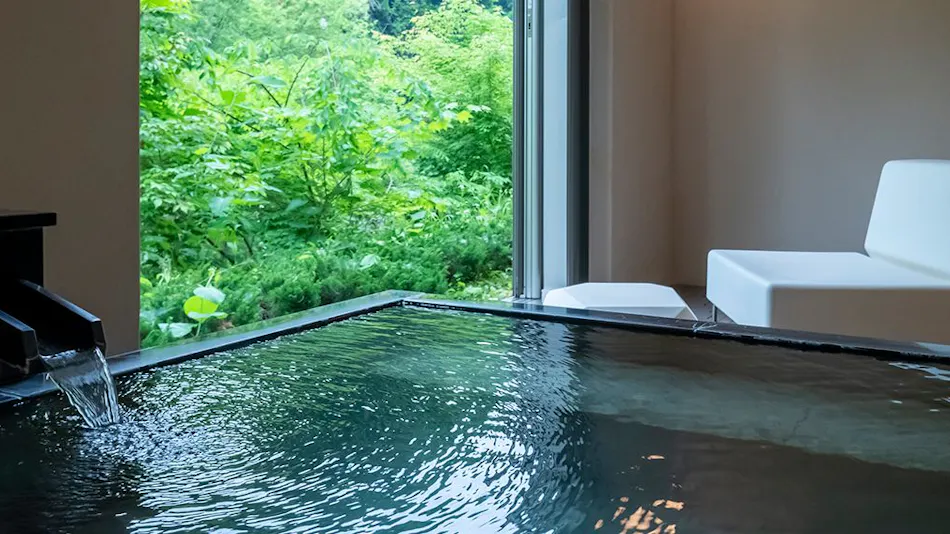 Fujisan Ryokan - Annex Nambu Onsen Kokoro no Toki Jusan Gatsu
