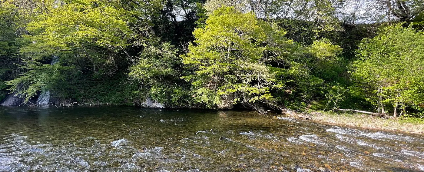 ラウンジ藤時fuji