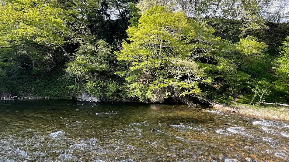 Fujisan Ryokan - Annex Nambu Onsen Kokoro no Toki Jusan Gatsu