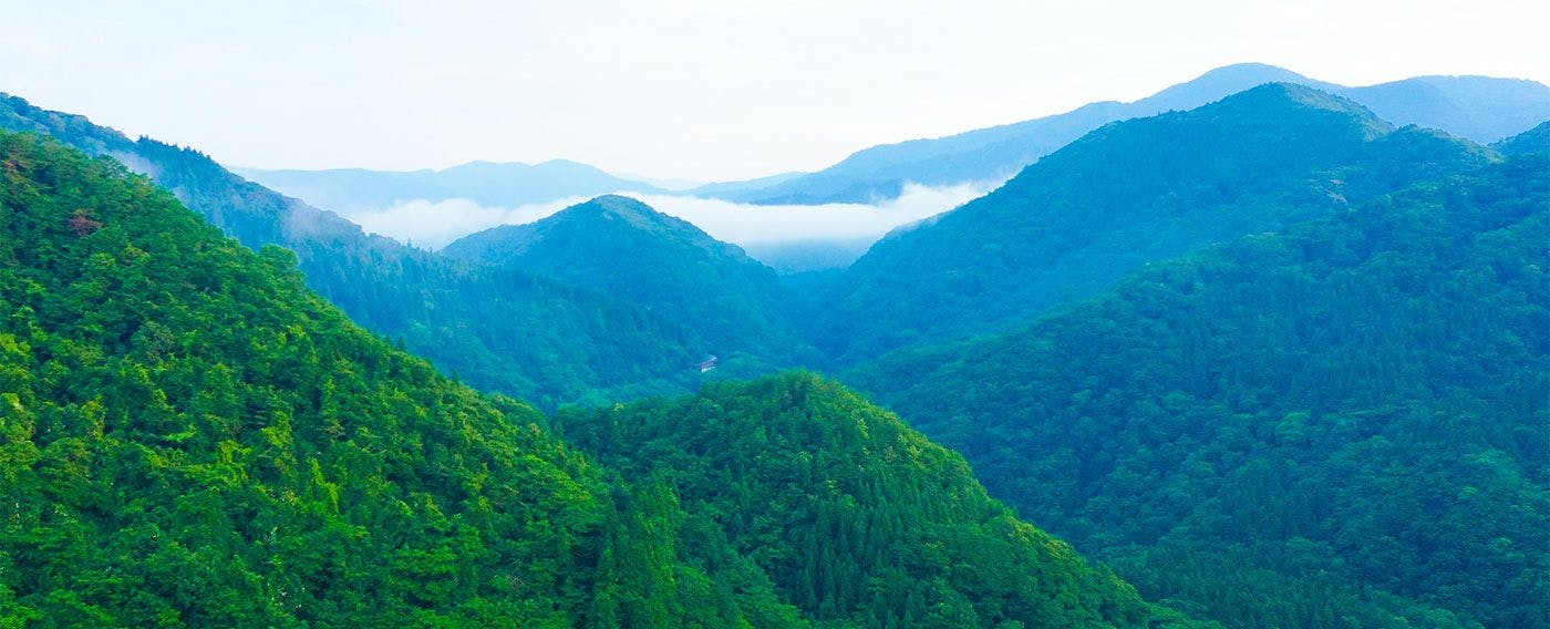 藤三旅館・別邸　鉛温泉　心の刻　十三月