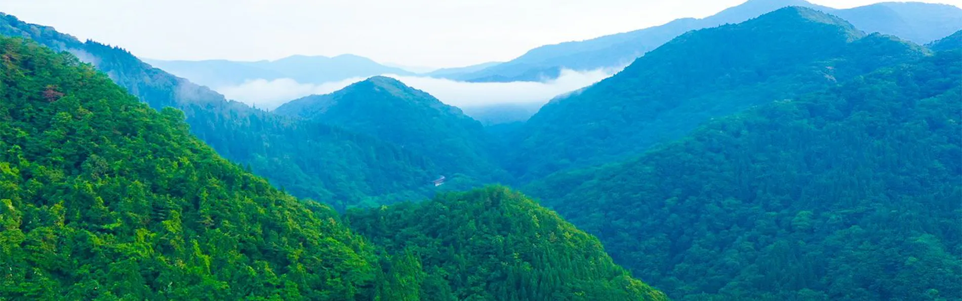 藤三旅館・別邸 鉛温泉 心の刻 十三月