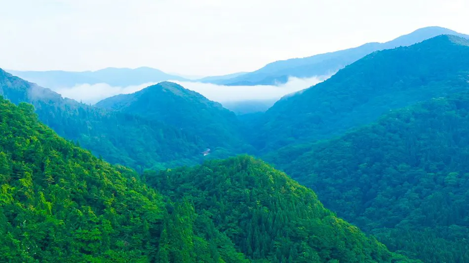 Fujisan Ryokan - Annex Nambu Onsen Kokoro no Toki Jusan Gatsu