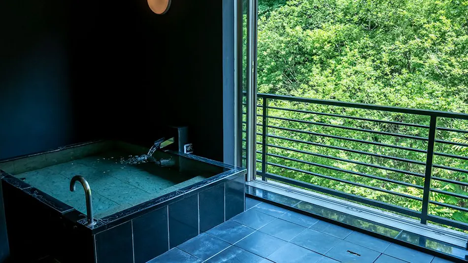 Fujisan Ryokan - Annex Nambu Onsen Kokoro no Toki Jusan Gatsu