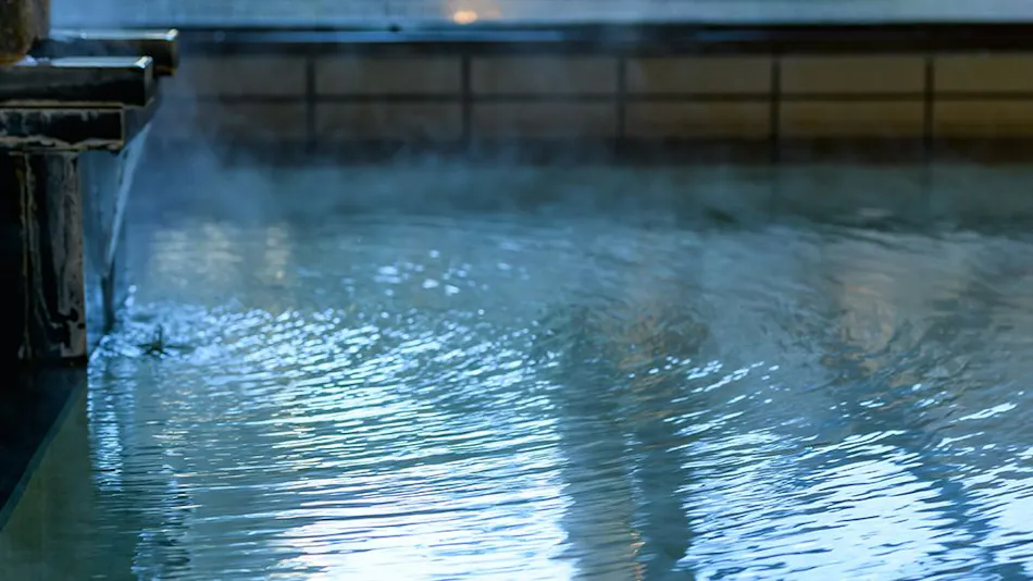 Bessho Onsen Tamaya Ryokan