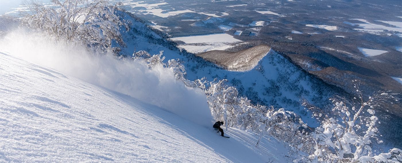 アクティビティ