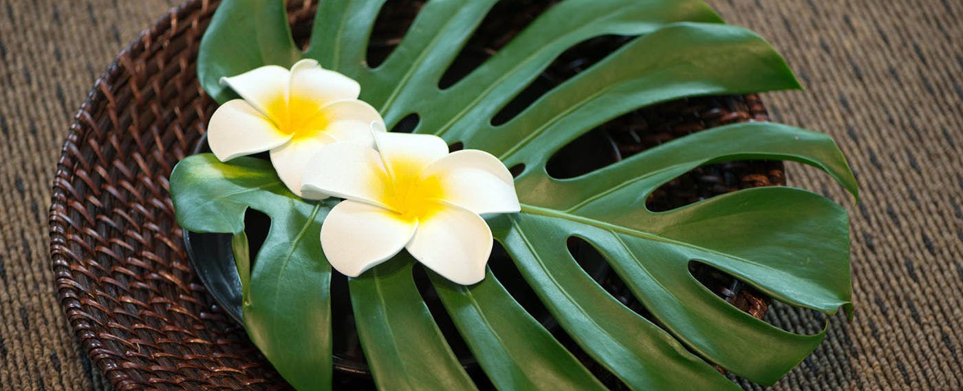 MAGACHABARU OKINAWA
