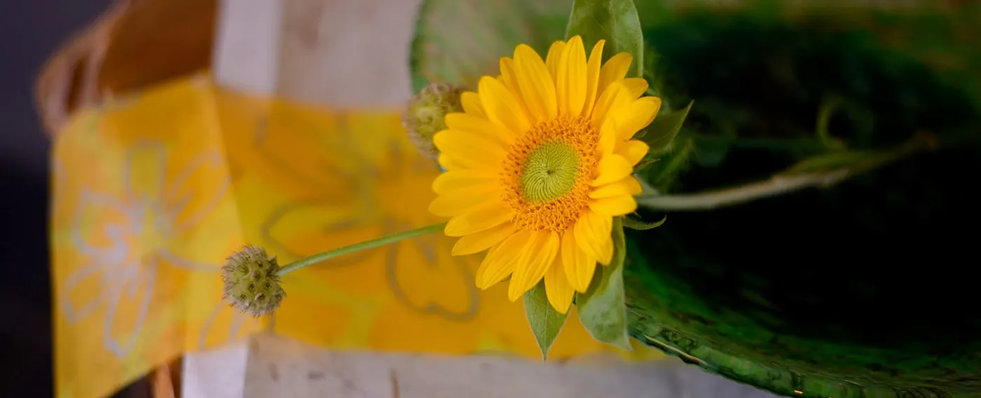 四季の移ろいを微笑ましく感じ取る豊かな時間を