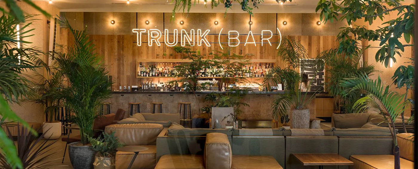 TRUNK(LOUNGE)