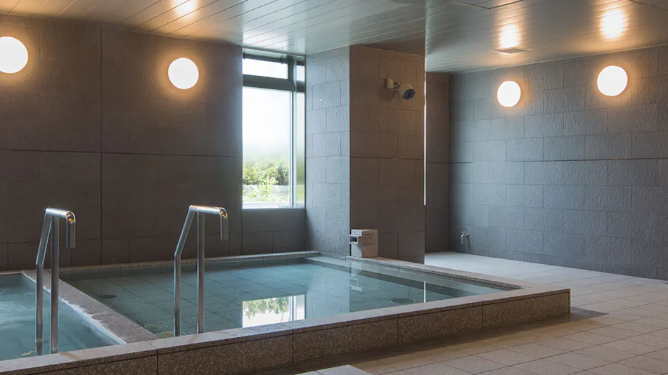 Nippon Seinenkan Hotel