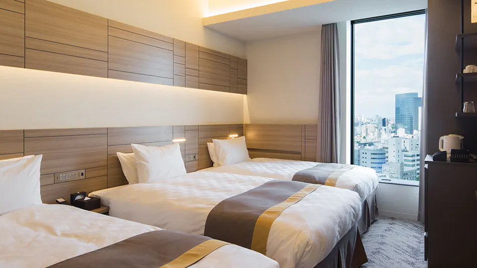 Nippon Seinenkan Hotel