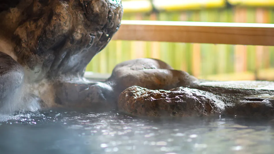 Naruko Onsen Yumoto Kissho (Kyoritsu Resort)