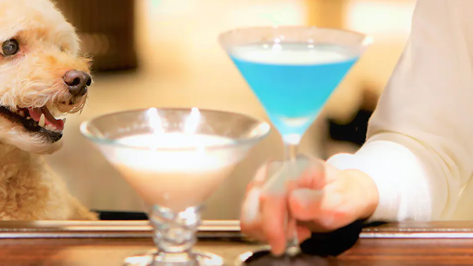 Regina Resort Kamogawa - Dog Wellness Beach -