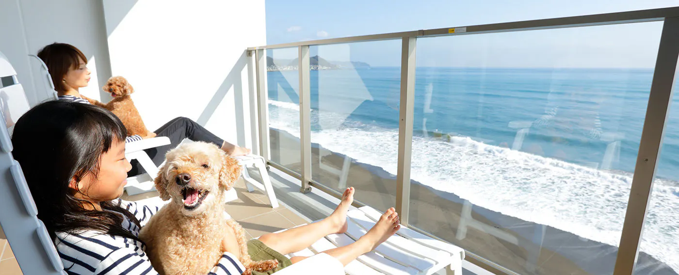 테라스에서 바닷바람을 맞으며 반려견과 행복한 시간을 보내세요.