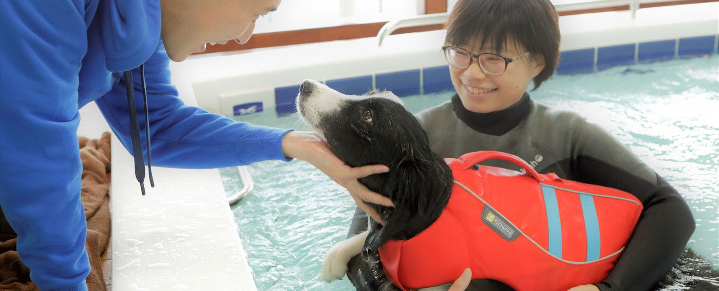 【아쿠아 피트니스】몸에 부담 없는 전신 운동