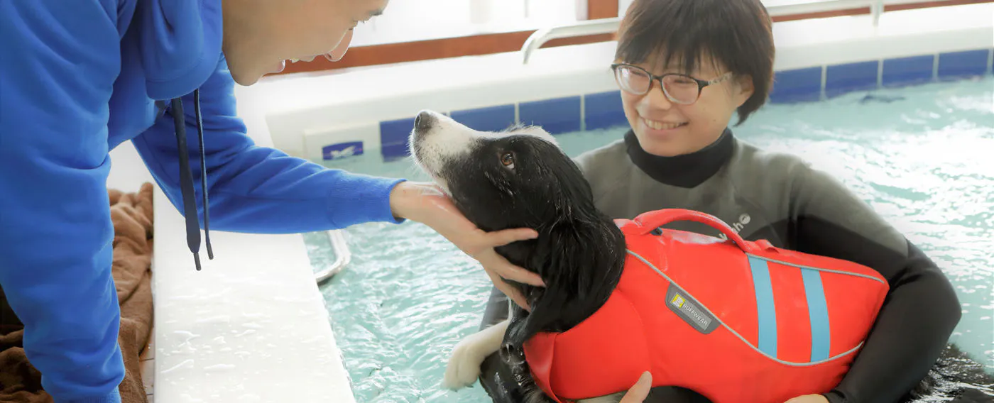 【아쿠아 피트니스】몸에 부담 없는 전신 운동