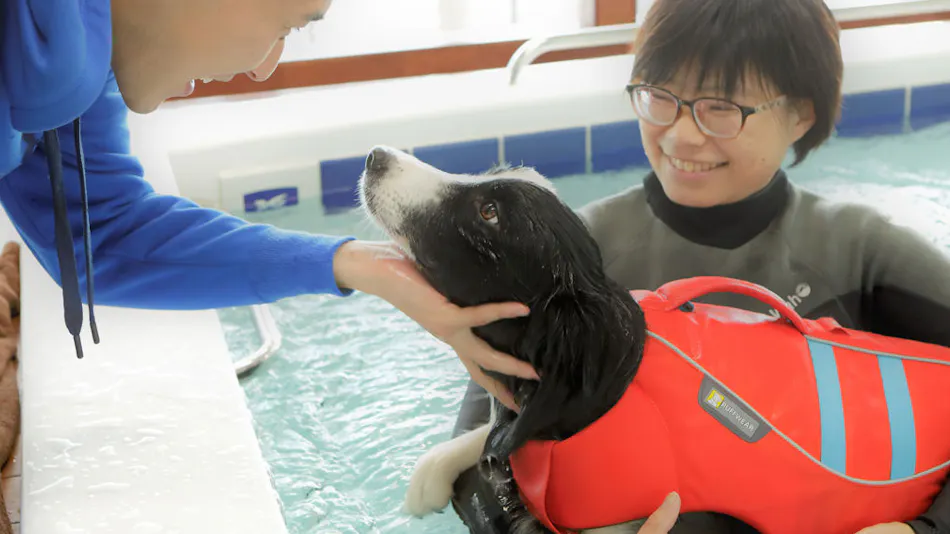 Regina Resort Kamogawa - Dog Wellness Beach -