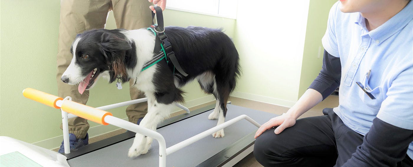 [러닝머신] 셀프 트레이닝을 위해 15분 무료 제공.