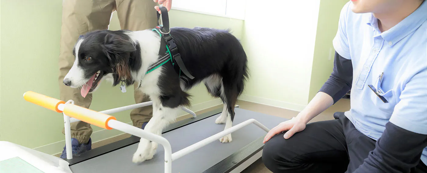 【ランニングマシーン】セルフトレーニングのため、15分無料。