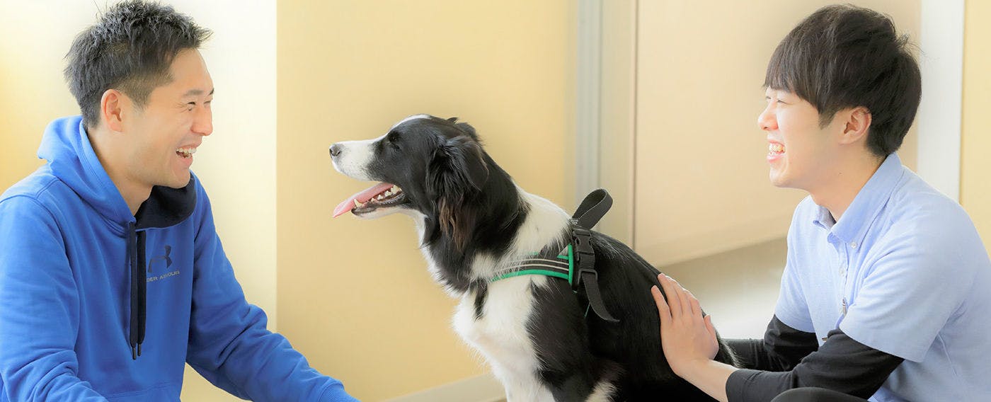 【프라이빗 프로그램】강아지에 맞춰 설계합니다