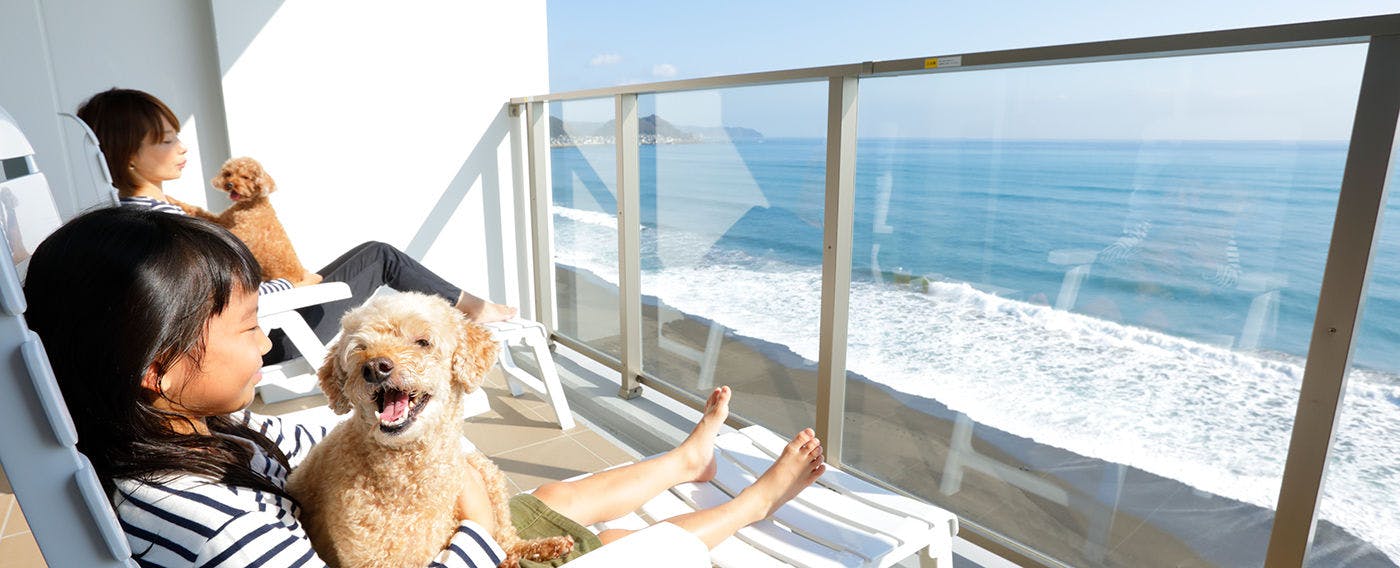 Regina Resort Kamogawa - Dog Wellness Beach -