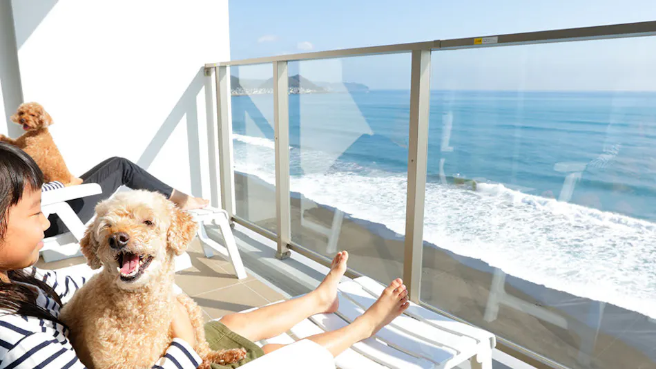 Regina Resort Kamogawa - Dog Wellness Beach -