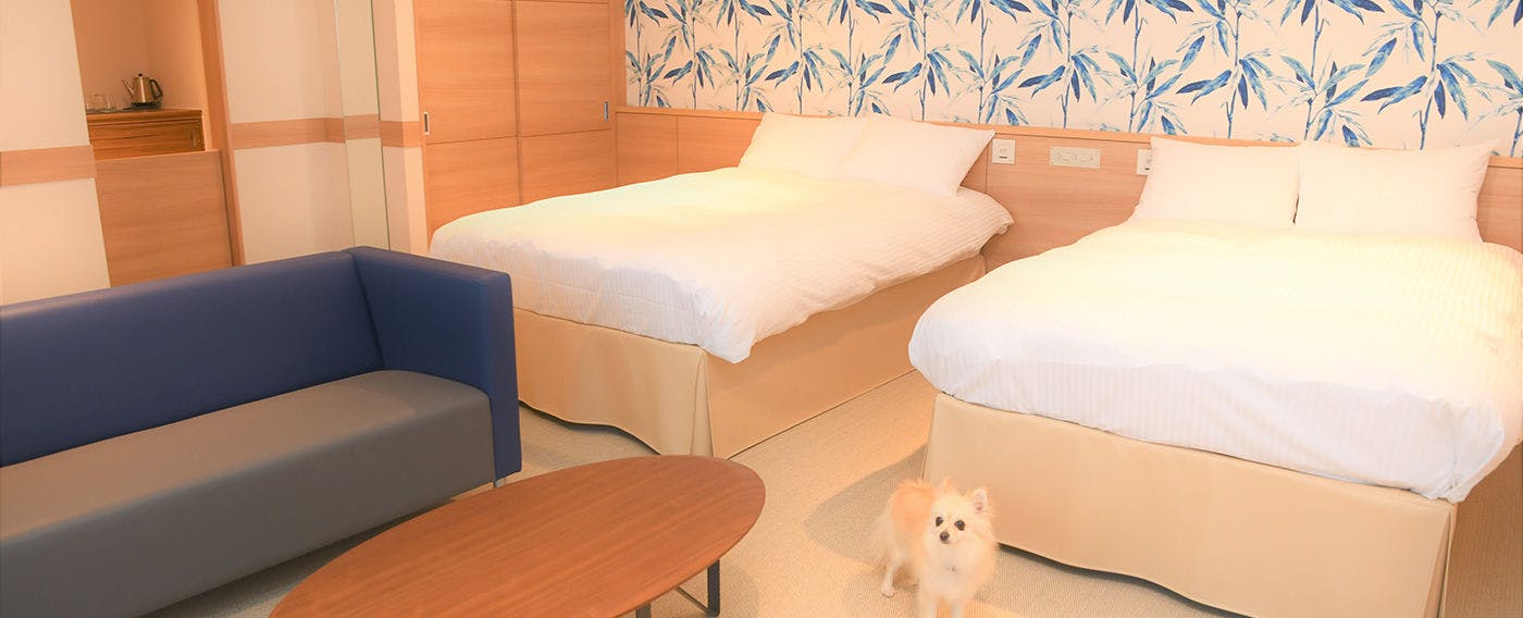 Regina Resort Kamogawa - Dog Wellness Beach -