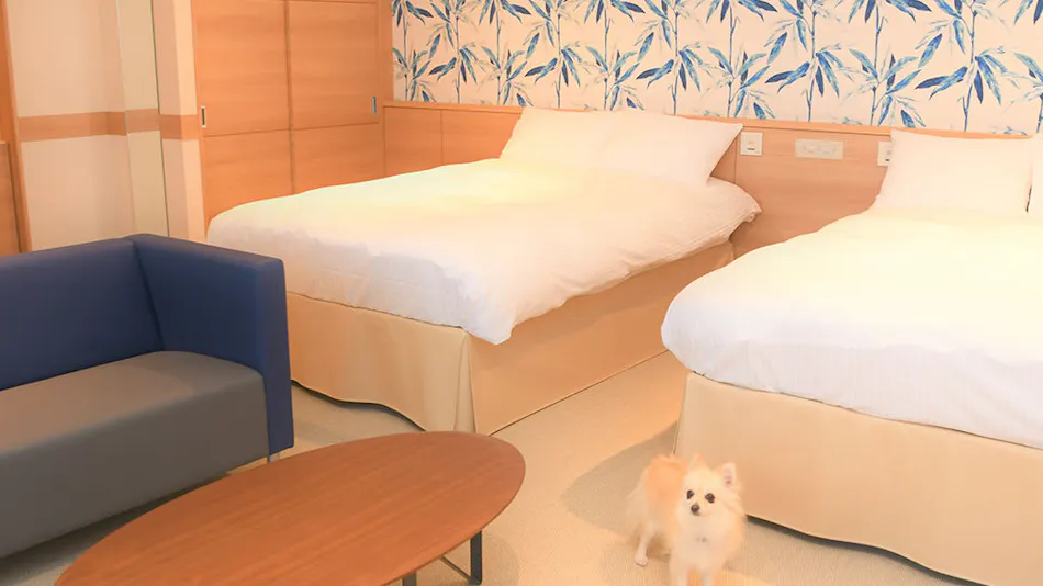 Regina Resort Kamogawa - Dog Wellness Beach -