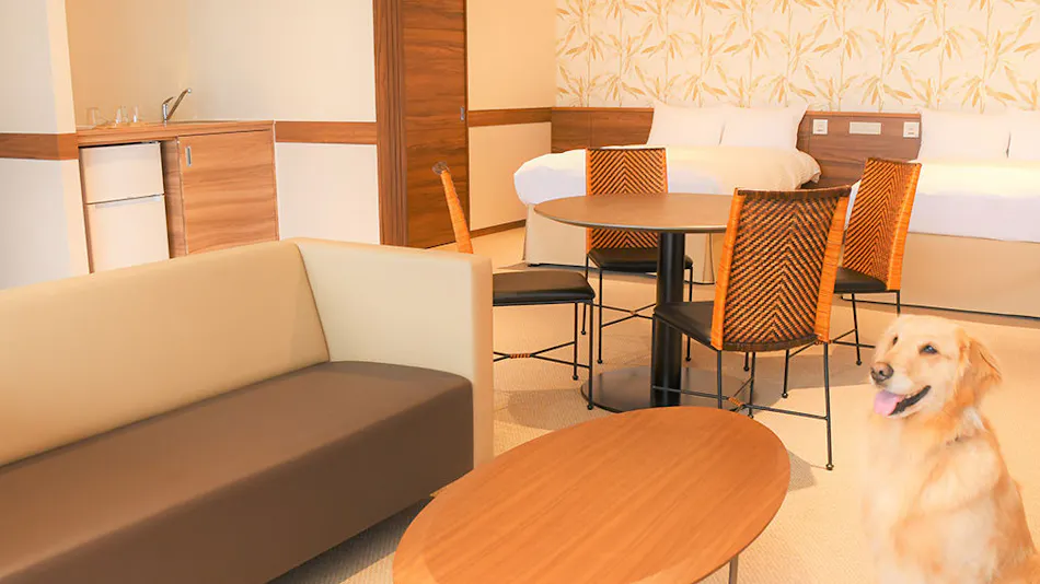 Regina Resort Kamogawa - Dog Wellness Beach -