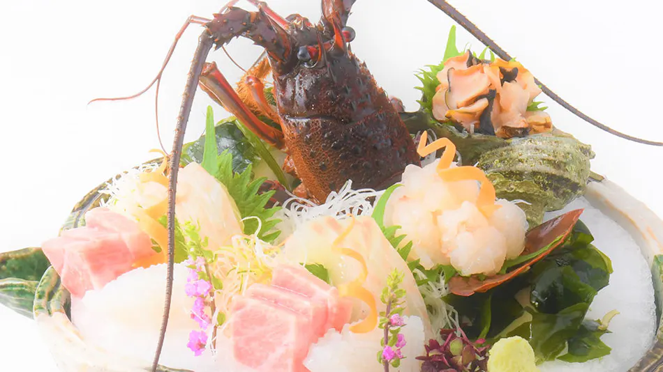 Regina Resort Kamogawa - Dog Wellness Beach -