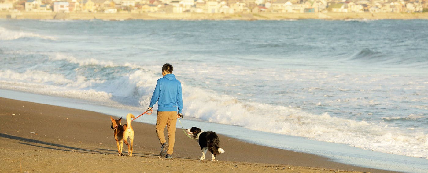 レジーナリゾート鴨川－DogWellnessBeach－