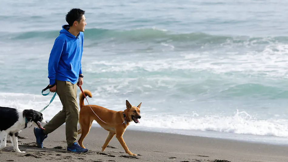 Regina Resort Kamogawa - Dog Wellness Beach -