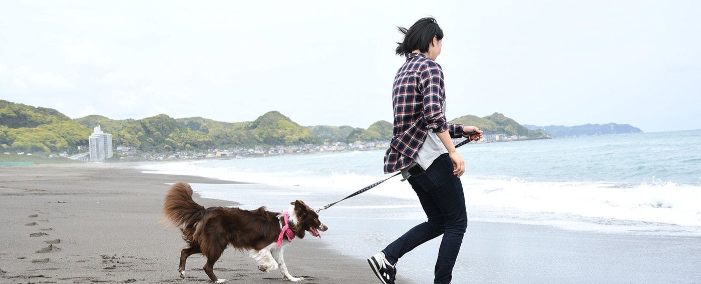 レジーナリゾート鴨川－DogWellnessBeach－