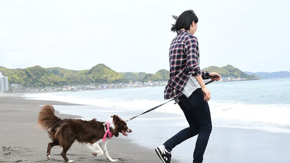 Regina Resort Kamogawa - Dog Wellness Beach -