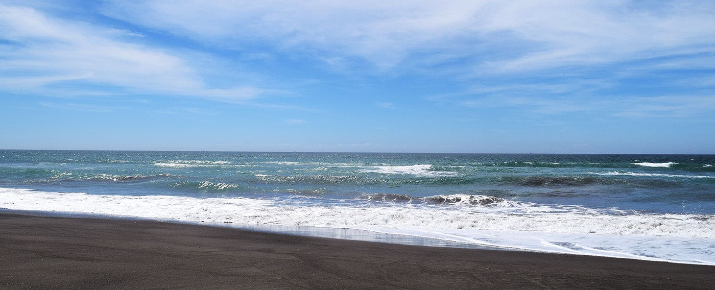レジーナリゾート鴨川－DogWellnessBeach－