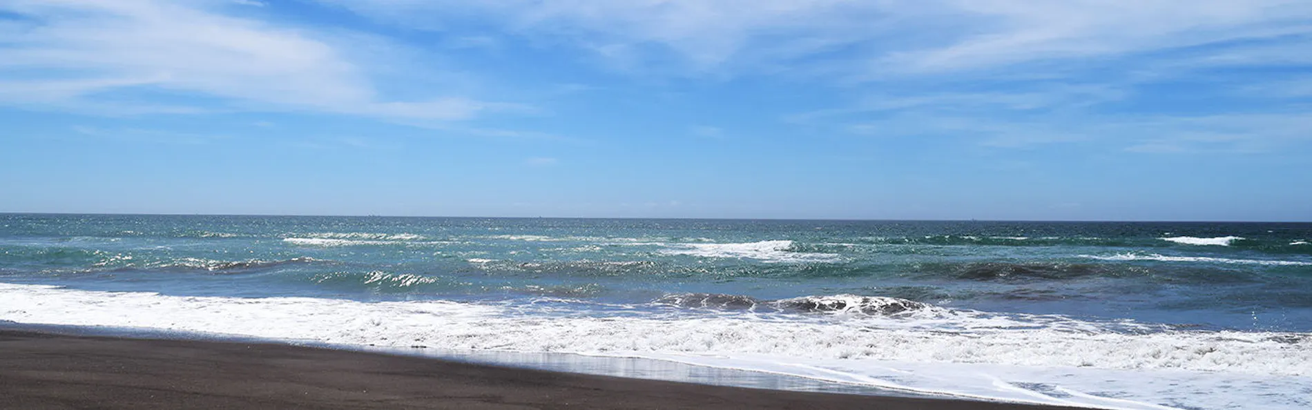 レジーナリゾート鴨川-DogWellnessBeach-
