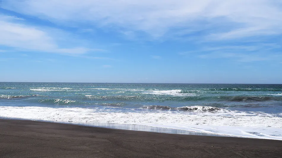 Regina Resort Kamogawa - Dog Wellness Beach -