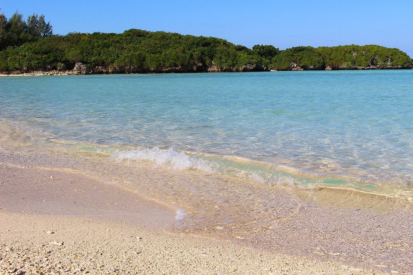 Grand Bleu Gamin（グランブルーギャマン）