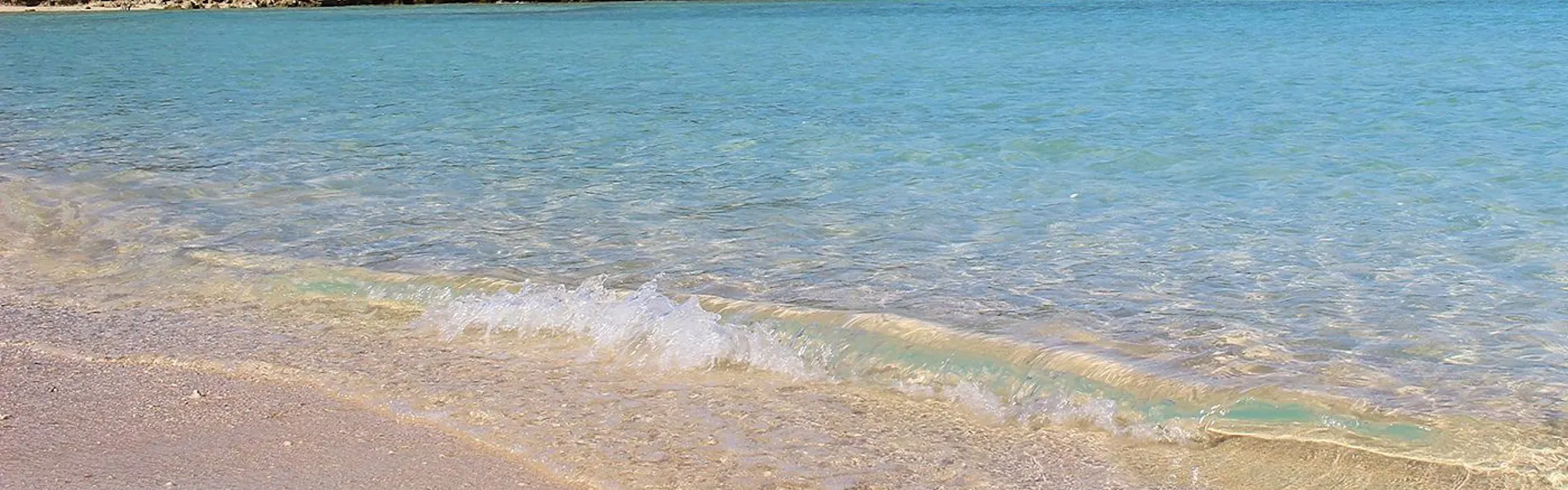 Grand Bleu Gamin(グランブルーギャマン)