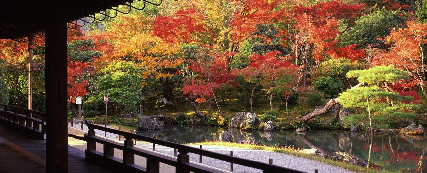 MUNI KYOTO