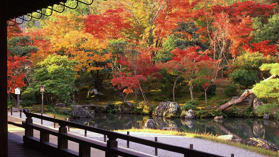 MUNI KYOTO