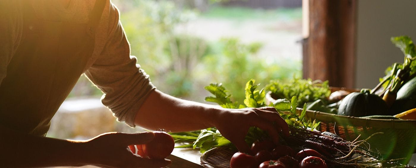 วัตถุดิบท้องถิ่น