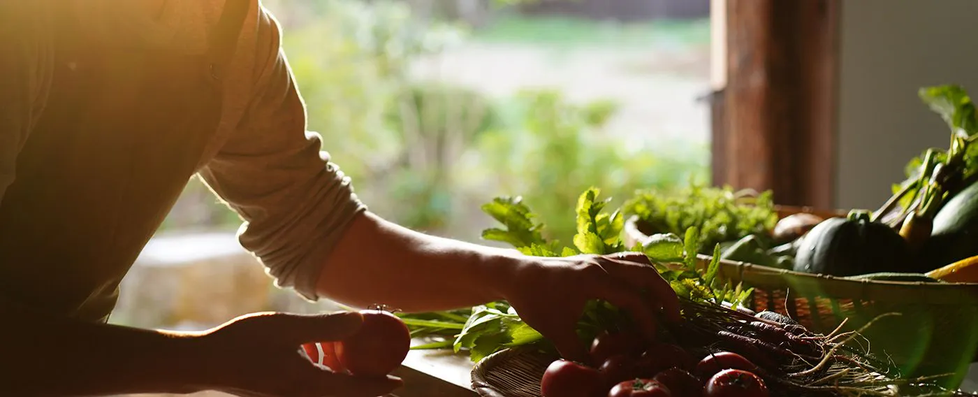 วัตถุดิบท้องถิ่น