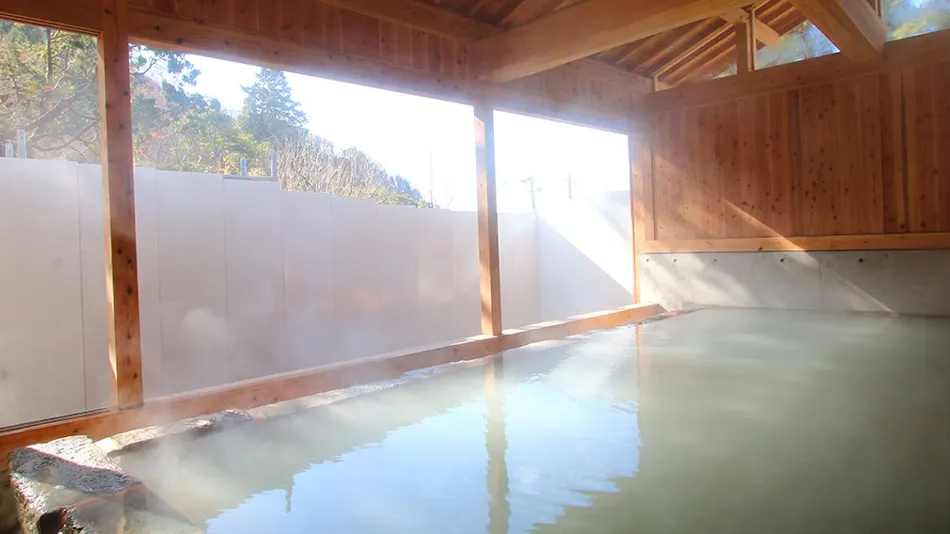 Jigoku Onsen Seifuso