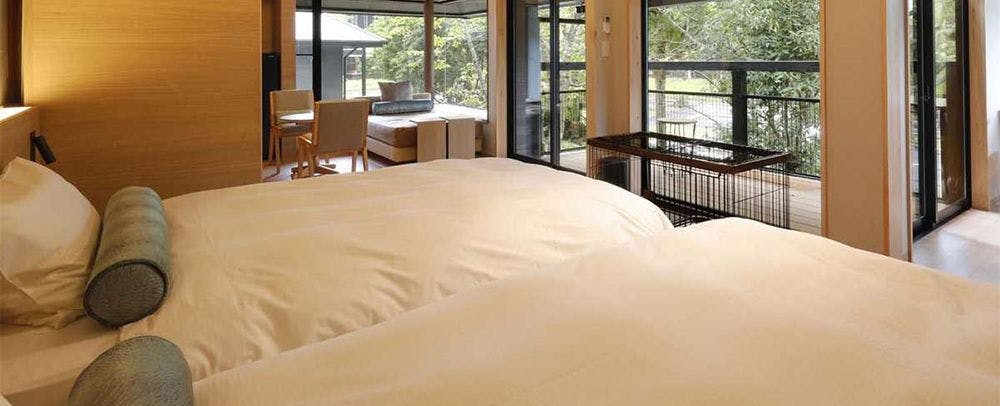 【中古】 中部発ワンちゃんといっしょに泊まれる宿はここだ！ 名古屋から2時間×ペットと泊まれる宿 駐車場ありおすすめホテル・旅館