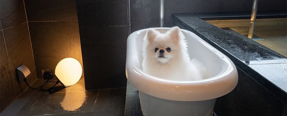 Mata air panas alami