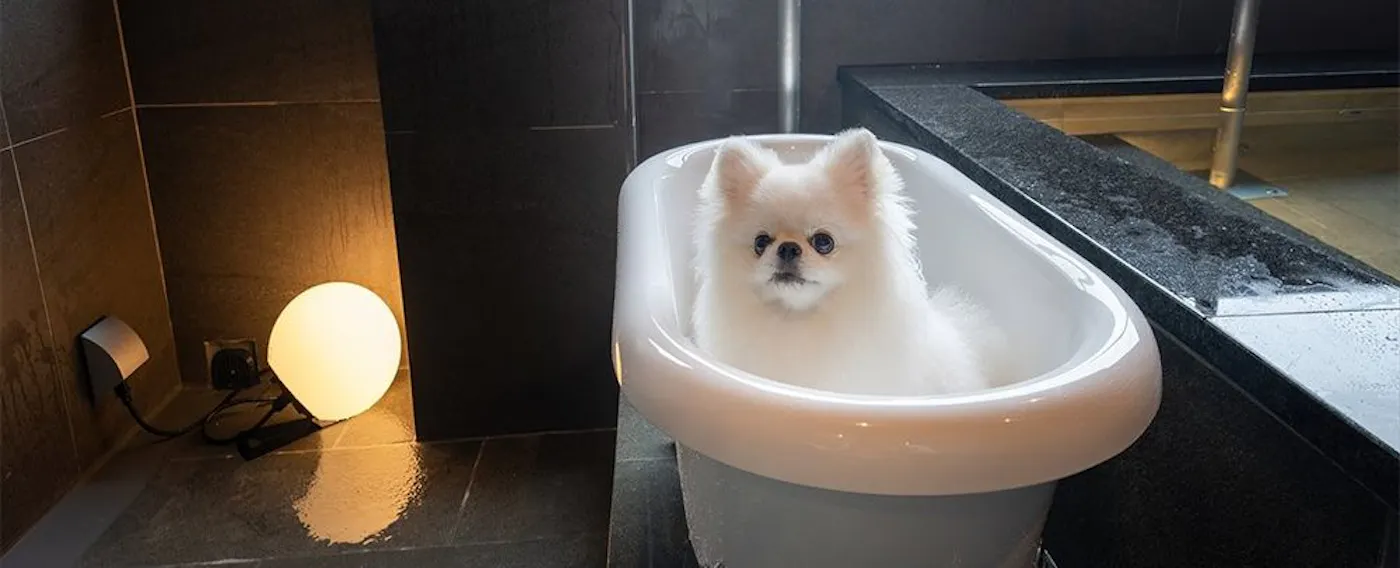 Mata air panas alami