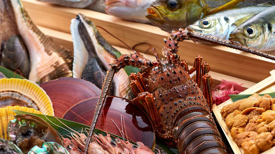 Sunset Villa Hikari Reef