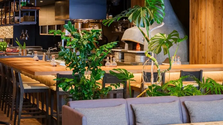 Seven x Seven Ishigaki