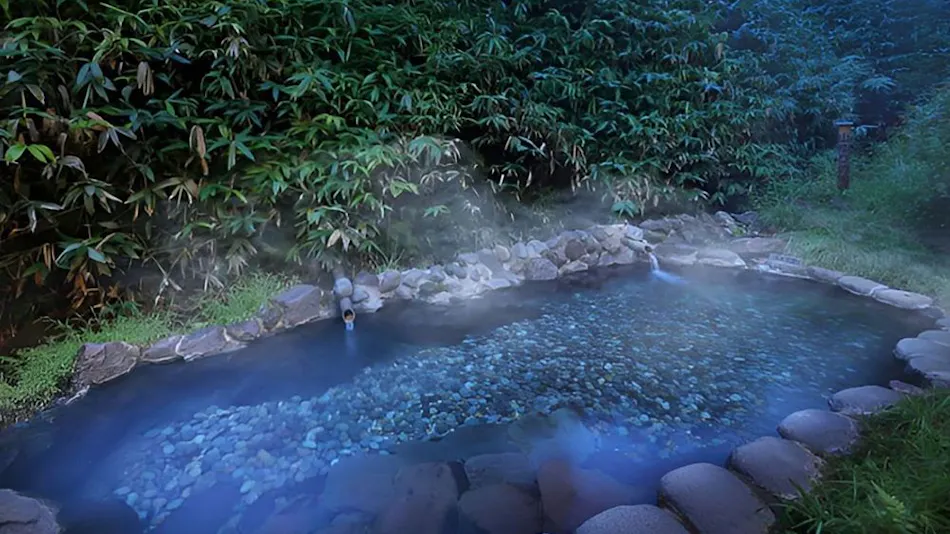Oomaru Onsen Ryokan